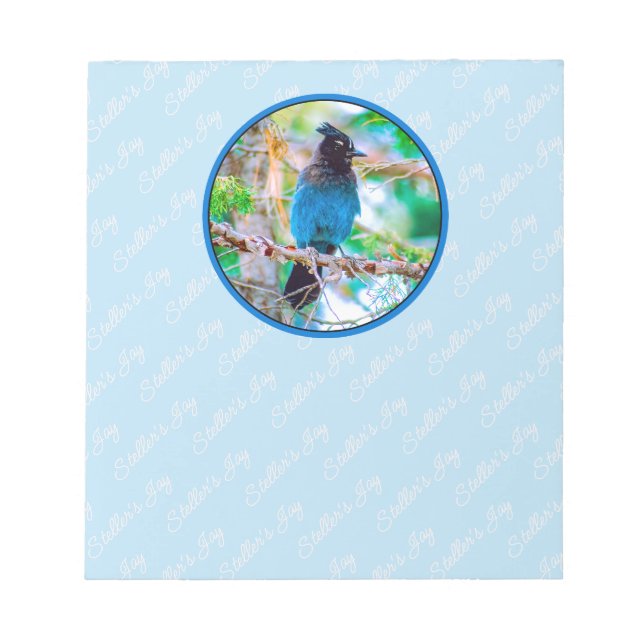 Steller's Jay - Original Photograph Notepad (Front)