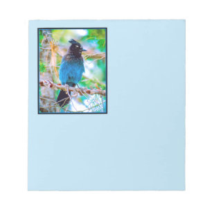 Steller's Jay - Original Photograph Notepad