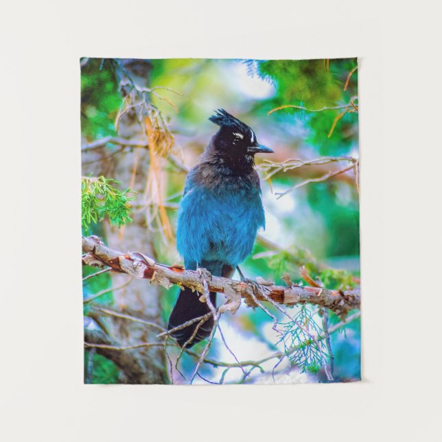 Steller's Jay - Original Photograph Tapestry (Front)