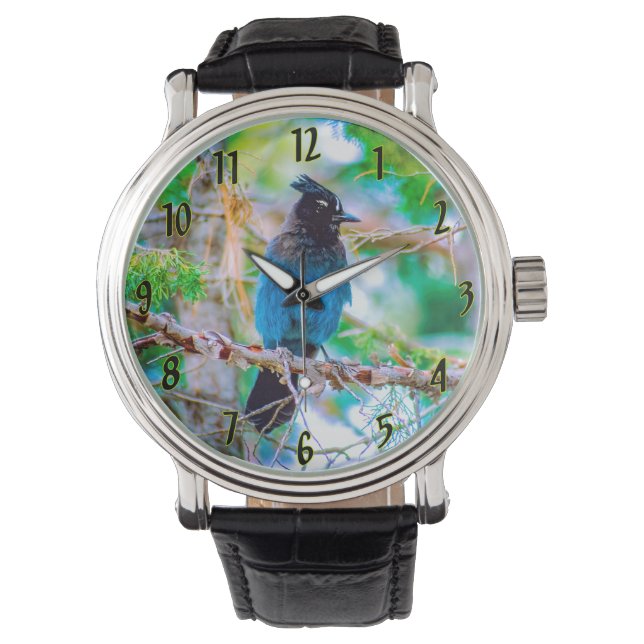 Steller's Jay - Original Photograph Watch (Front)