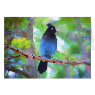 Steller's Jay Painting - Original Bird Art