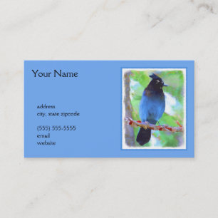 Steller's Jay Painting - Original Bird Art Business Card