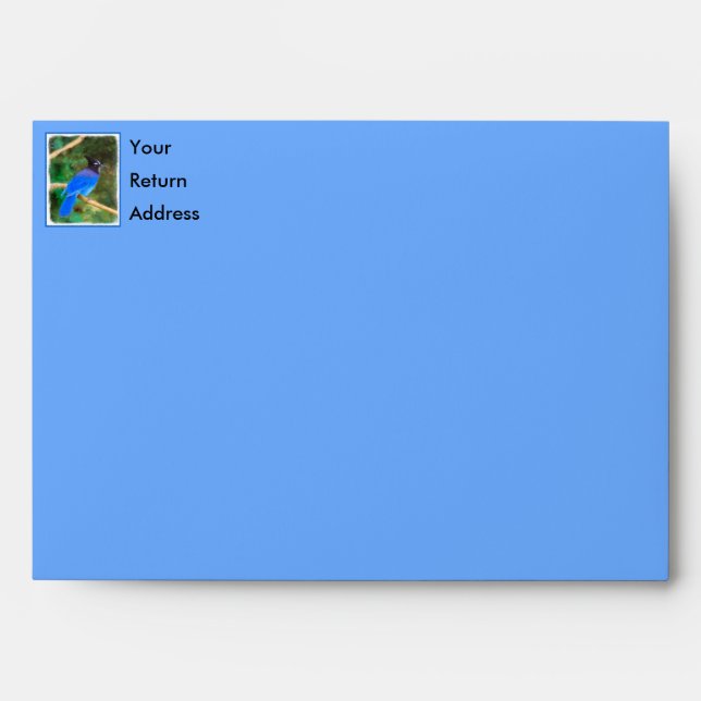 Steller's Jay Painting - Original Bird Art Envelope (Front)