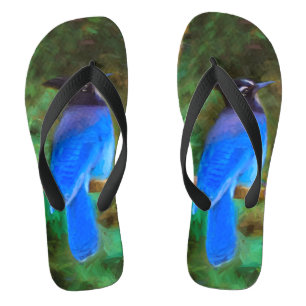 Steller's Jay Painting - Original Bird Art Jandals