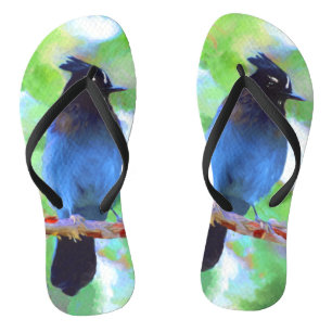 Steller's Jay Painting - Original Bird Art Jandals