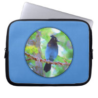 Steller's Jay Painting - Original Bird Art