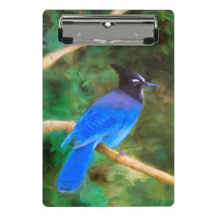 Steller's Jay Painting - Original Bird Art Mini Clipboard