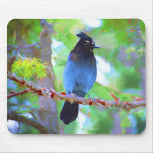 Steller's Jay Painting - Original Bird Art Mouse Pad