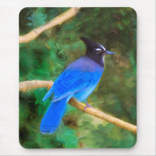 Steller's Jay Painting - Original Bird Art Mouse Pad