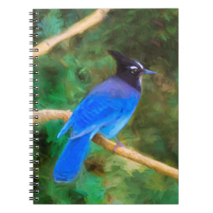 Steller's Jay Painting - Original Bird Art Notebook