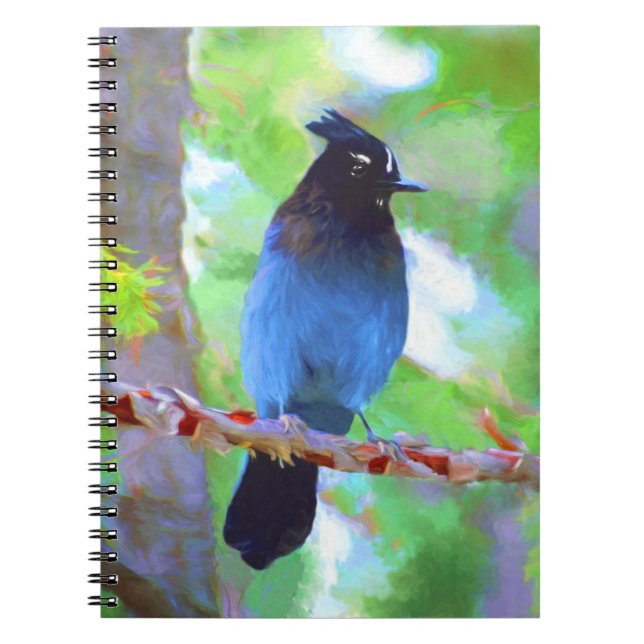 Steller's Jay Painting - Original Bird Art Notebook (Front)