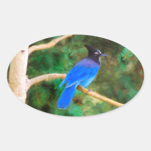 Steller's Jay Painting - Original Bird Art Oval Sticker