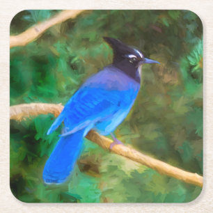 Steller's Jay Painting - Original Bird Art Square Paper Coaster