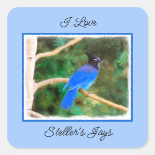 Steller's Jay Painting - Original Bird Art Square Sticker