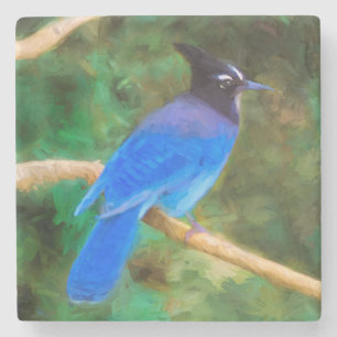 Steller's Jay Painting - Original Bird Art Stone Coaster