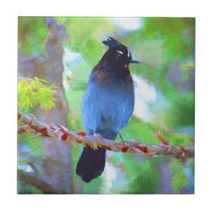 Steller's Jay Painting - Original Bird Art Tile