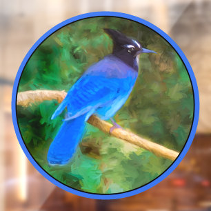 Steller's Jay Painting - Original Wild Bird Art