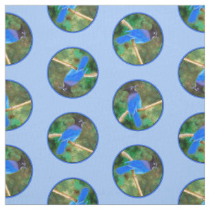 Steller's Jay Painting Original Wild Bird Art Fabric