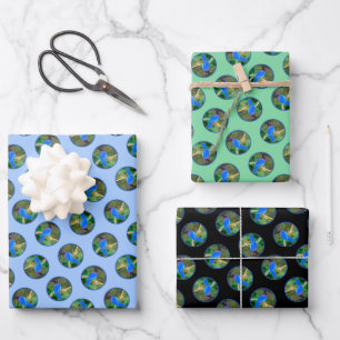 Steller's Jay Painting Original Wild Bird Art Wrapping Paper Sheet