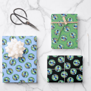 Steller's Jay Painting Original Wild Bird Art Wrapping Paper Sheet