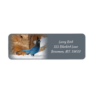 Steller's Jay Return Address