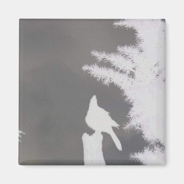 Steller's Jay Silhouette Fridge Magnet (Front)