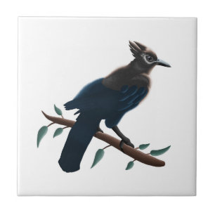 Steller's Jay Tile