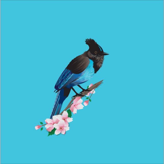 Steller's Jay Towel (Creator Uploaded)
