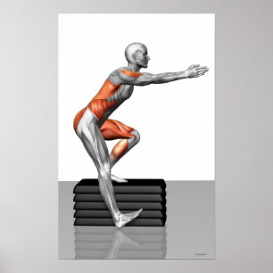 Step-Down Exercises Poster