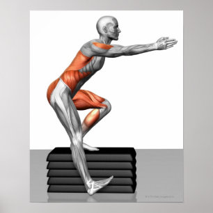 Step-Down Exercises Poster