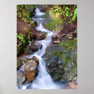 Step fall poster