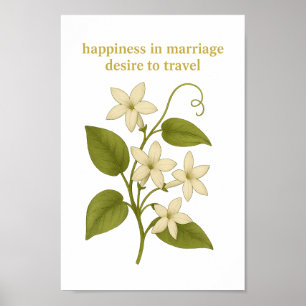 Stephanotis — Happiness in marriage Poster