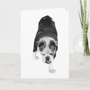 Stepping Dog Sends Warm Motivational Wishes Card