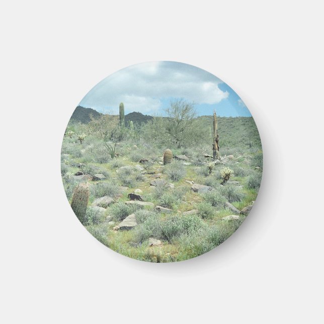 Stepping Stones Decorative Refrigerator Magnet (Front)