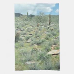 Stepping Stones Desert Photo Kitchen Towels