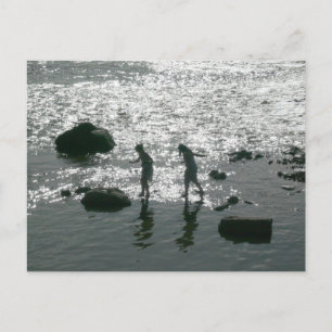 Stepping Stones Postcard