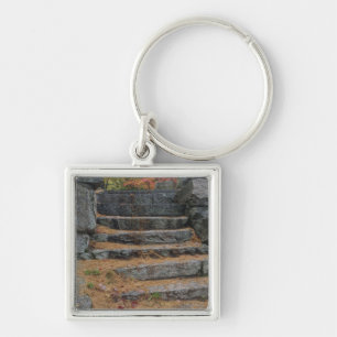 Steps covered in pine needles, White Mountain Key Ring