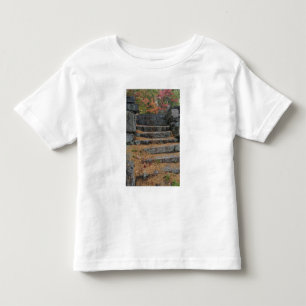 Steps covered in pine needles, White Mountain Toddler T-Shirt