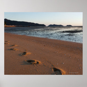 Steps in the sands at sunrise poster