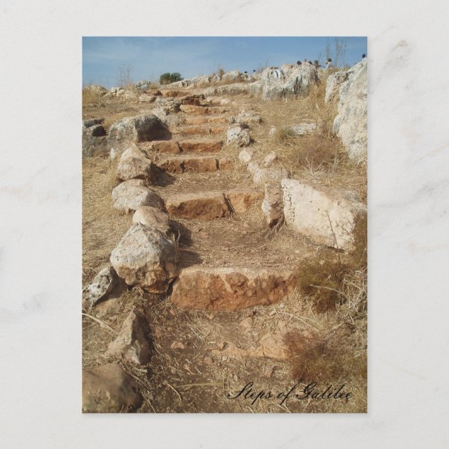 Steps of Galilee Postcard (Front)