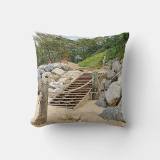 Steps of Renewal  Cushion
