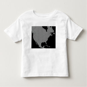 Stereoscopic view of North America 2 Toddler T-Shirt