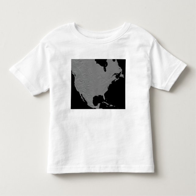 Stereoscopic view of North America 2 Toddler T-Shirt (Front)