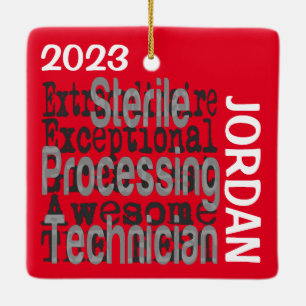 Sterile Processing Technician Extraordinaire Ceramic Ornament