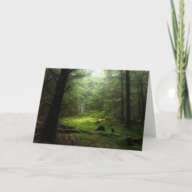 Sterious Forest Card (Front)