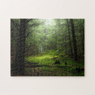 Sterious Forest Jigsaw Puzzle