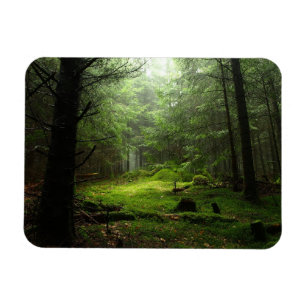 Sterious Forest Magnet