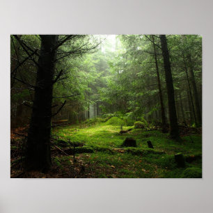 Sterious Forest Poster