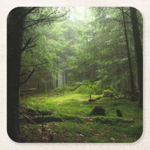Sterious Forest Square Paper Coaster