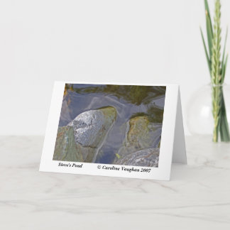 Steve's pond moss, Steve's Pond       ... Card